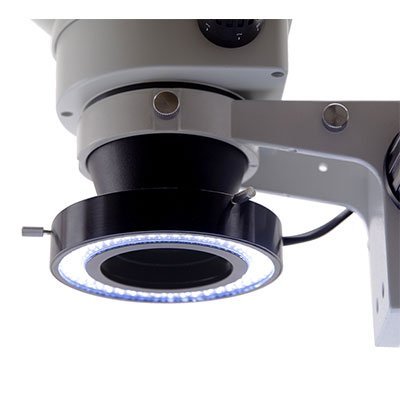 CL-16.1 – Image 2